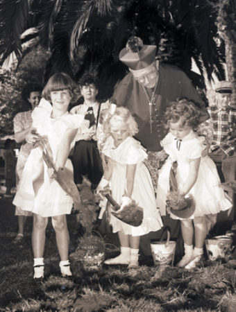 Bill Beebe Collection (3.2.6131)