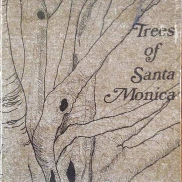 Trees of Santa Monica