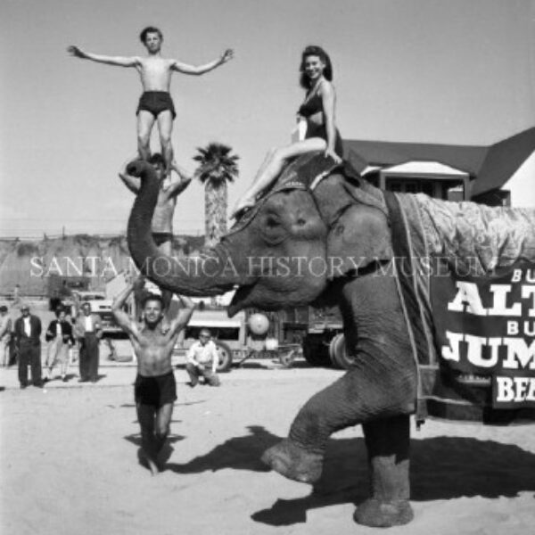 Bill Beebe Collection (3.2.3797)