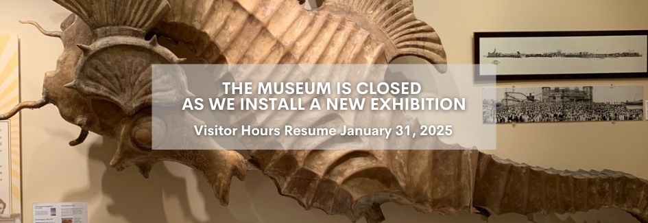 Text over a photo of a P.O.P seahorse from the museum. Text reads as follows: The museum is closed as we install a new exhibition. Visitors hours resume January 31