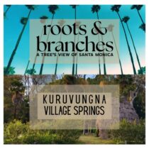 Palm trees and blue sky with Kuruvunga Village Springs and text overlay