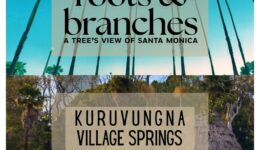 Palm trees and blue sky with Kuruvunga Village Springs and text overlay