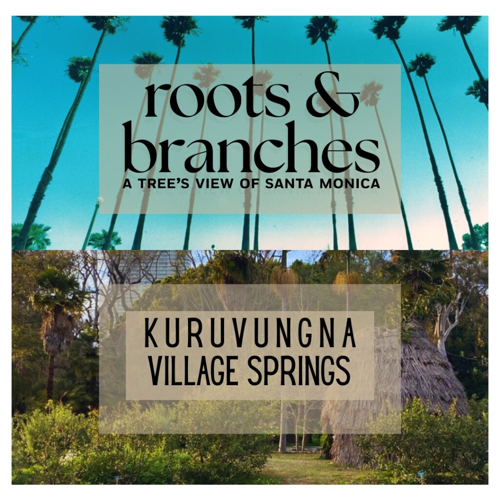 Palm trees and blue sky with Kuruvunga Springs and text overlay