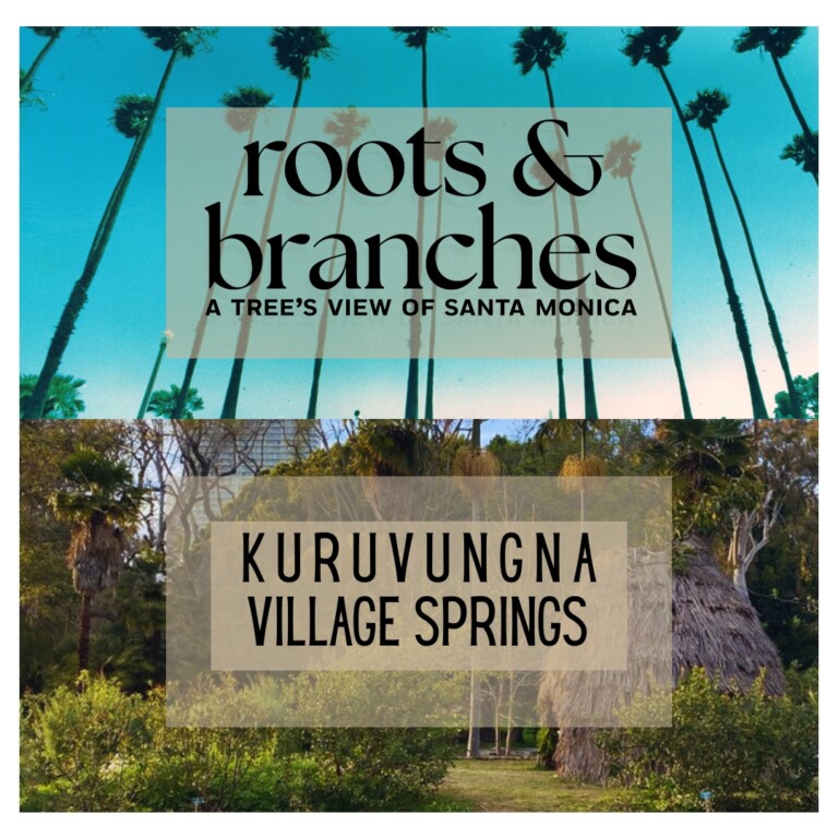 Palm trees and blue sky with Kuruvunga Springs and text overlay