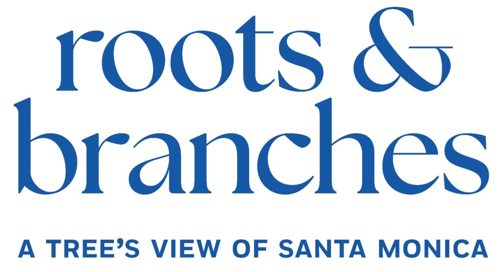 Words "Roots and Branches - A Tree's VIew of Santa Monica"
