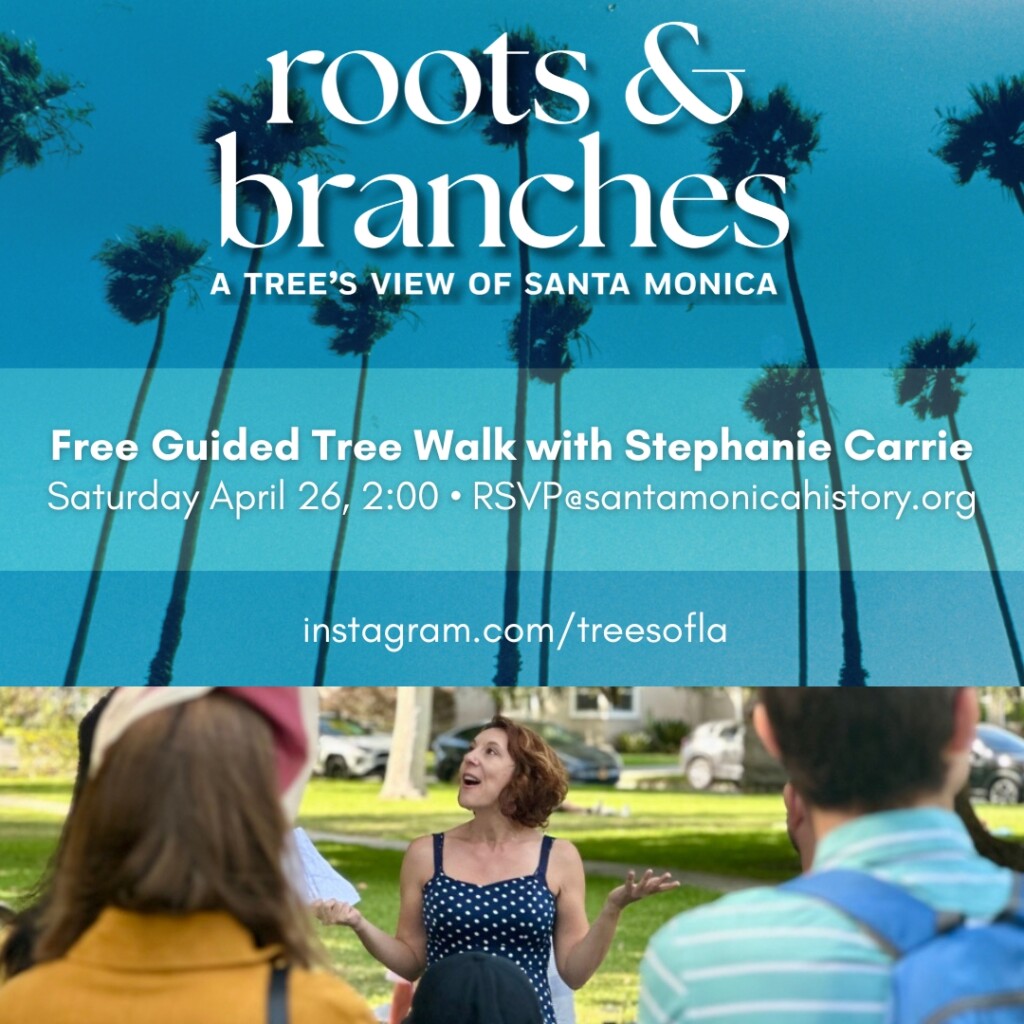 Text over color image of palm trees and tour group in a park