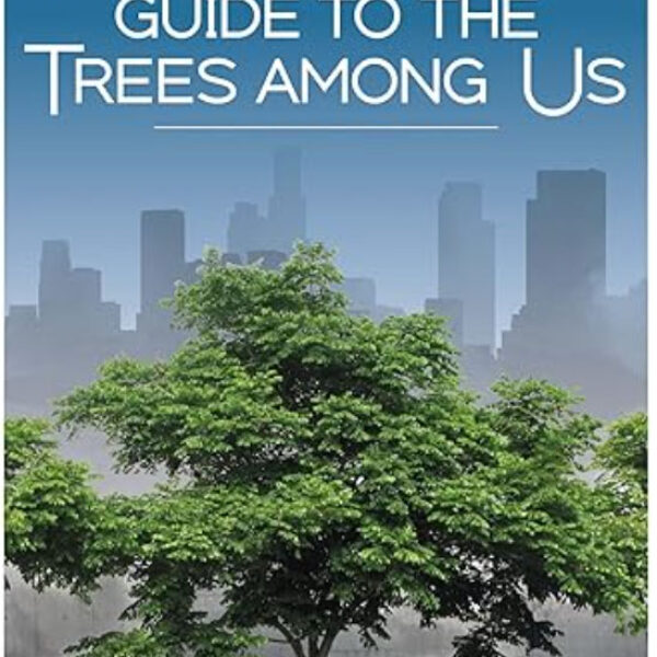 A Californian’s Guide to the Trees Among Us