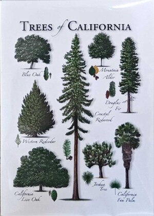 Front of Trees of California notecard - various species of trees