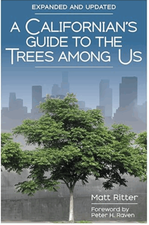 a California’s guide to trees