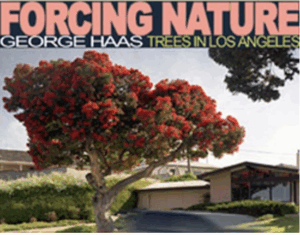 forcing nature by george haas
