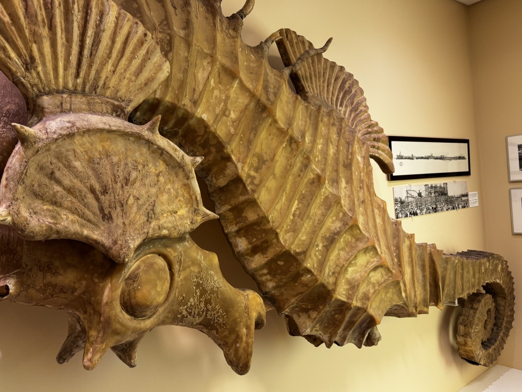 Close up photo of pacifuc Ocean Park decorative seahorse