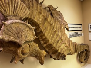 Close up photo of pacifuc Ocean Park decorative seahorse