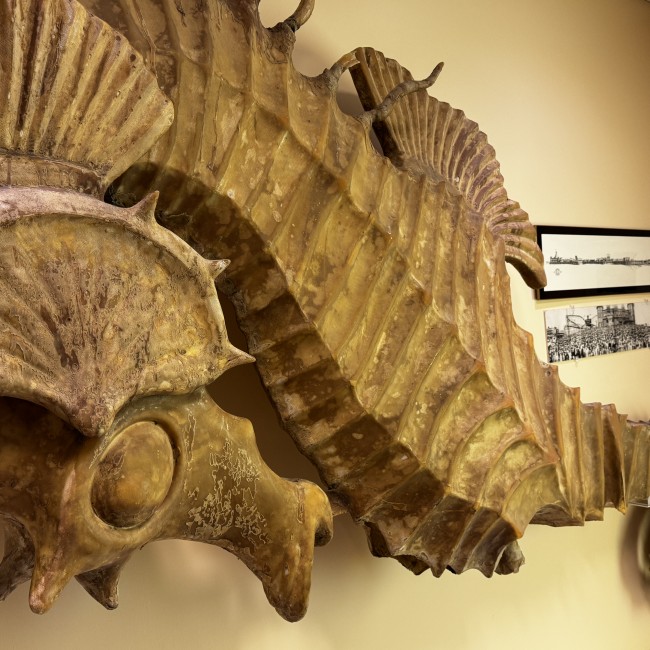 Close up photo of pacifuc Ocean Park decorative seahorse