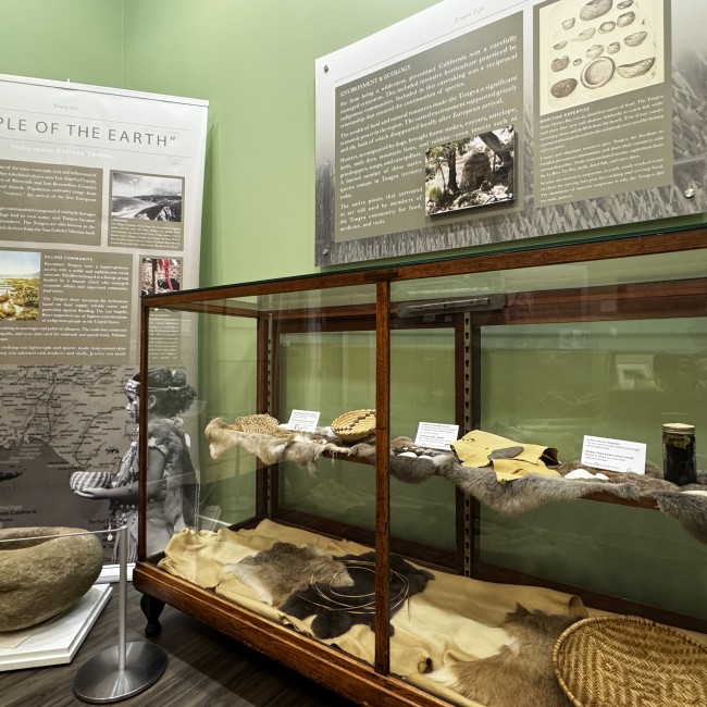 Photo of museum gallery featuring artifacts in a glass cabinet and text panels exploring historical indigenous roots