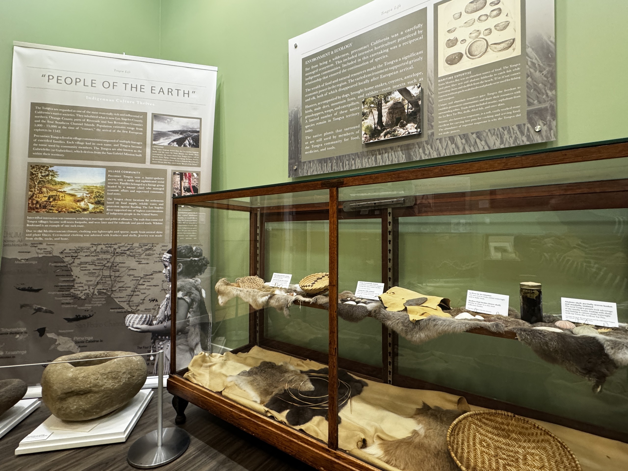 Photo of museum gallery featuring artifacts in a glass cabinet and text panels exploring historical indigenous roots