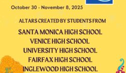 yellow background with skulls and flowers with listing of schools participating in the program described on the webpage