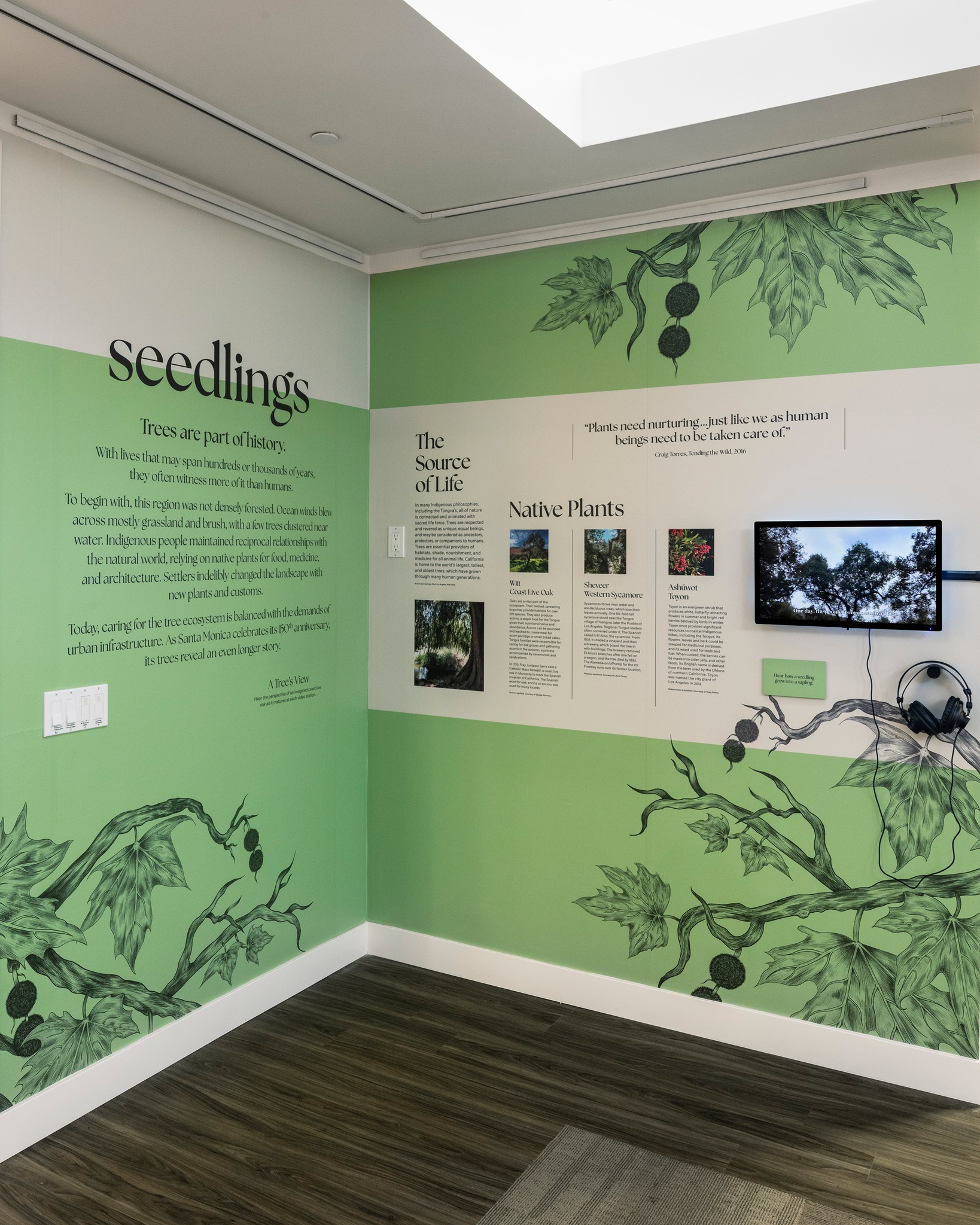 Wall display from the exhibition Roots & Branches