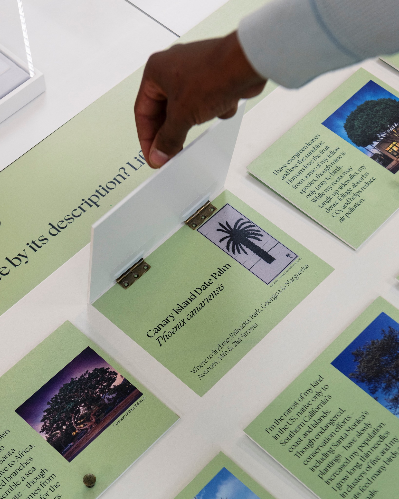 Display from the exhibition Roots & Branches
