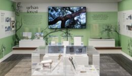 Wall display from the exhibition Roots & Branches