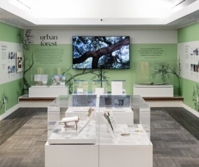 Wall display from the exhibition Roots & Branches