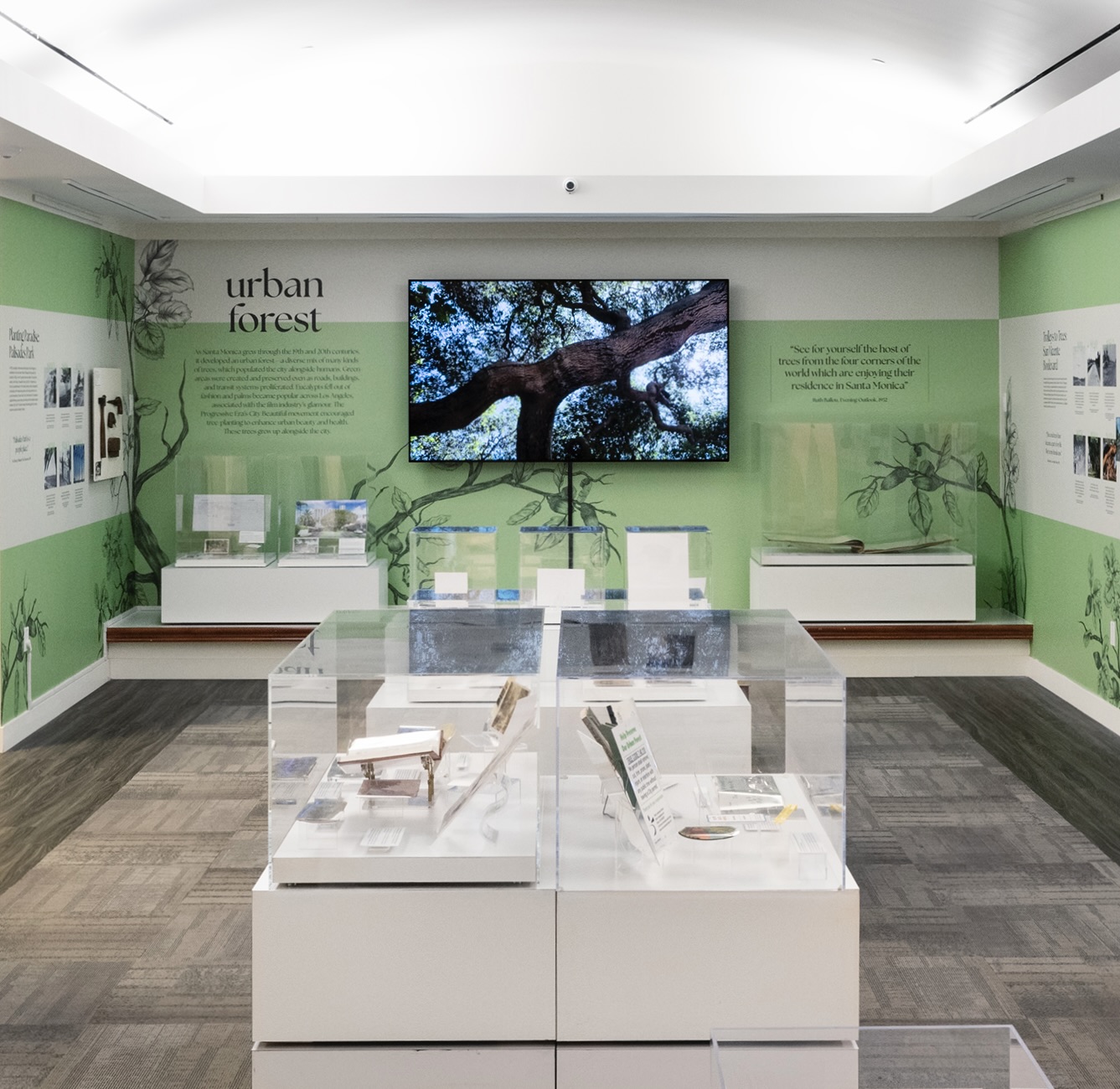 Wall display from the exhibition Roots & Branches
