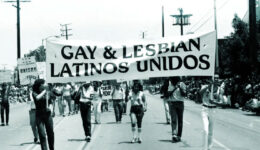 Unidad Screening