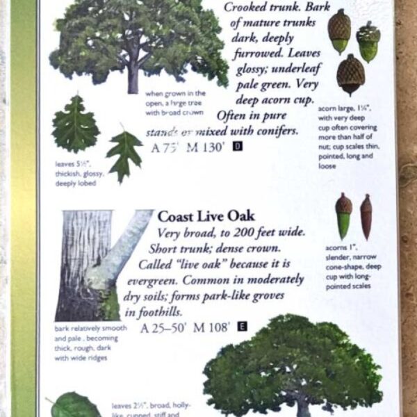 Sibley’s Common Trees of California