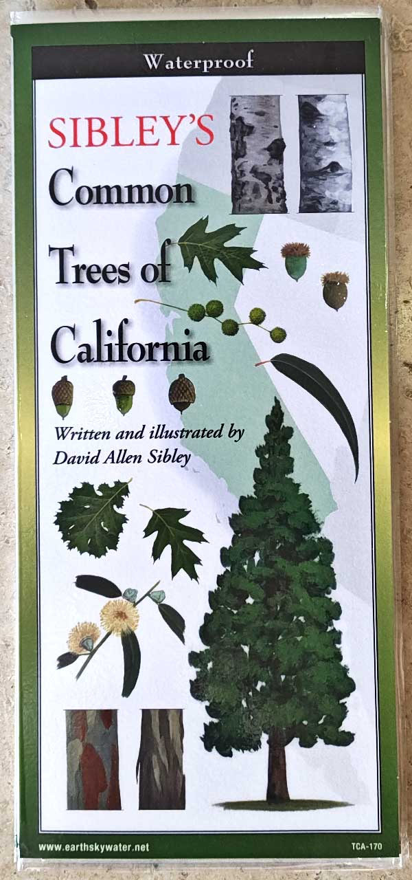 Sibley’s Common Trees of California