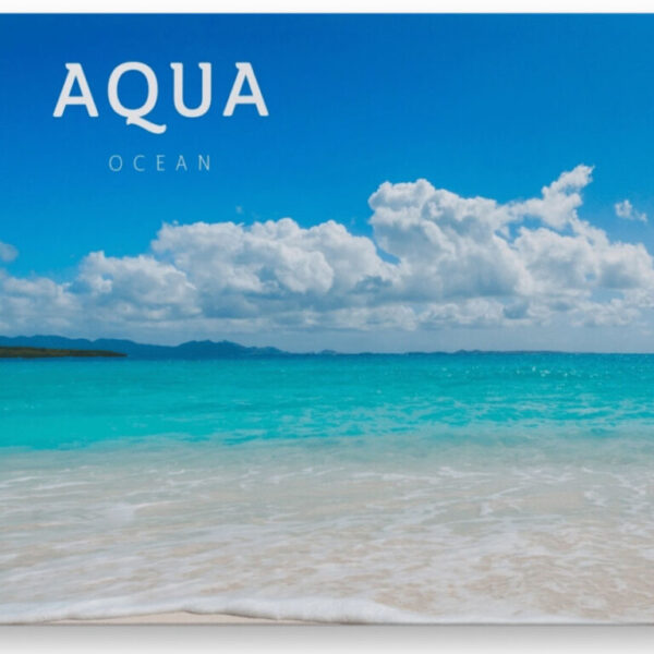 Aqua - Ocean
