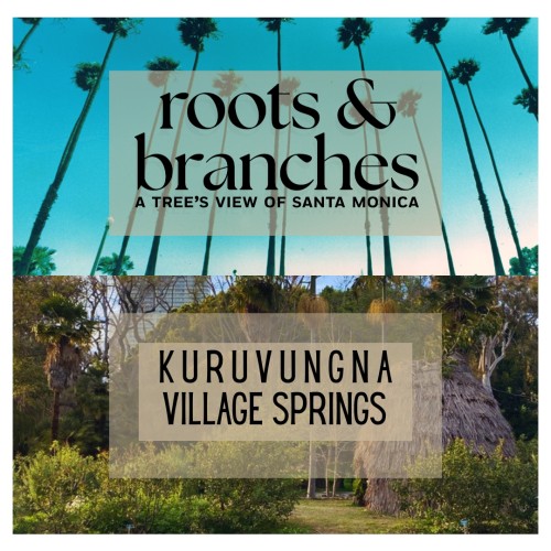 Palm trees and blue sky with Kuruvunga Springs and text overlay
